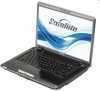 Toshiba 15,4 laptop Core2Duo P8600 2.4G 4G HDD 320GB ATI HD 3650 512MB.HD notebook Toshiba