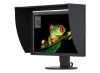 Monitor 24  1920x1200 IPS HDMI DVI DP USB Eizo CG2420