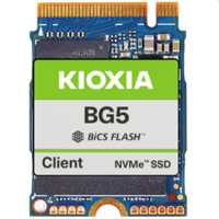 256GB SSD M.2 2230 NVMe KIOXIA BG5 KBG50ZNS256G