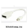 MINI DisplayPort M - DisplyPort F monitor adapter