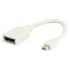Mini DisplayPort DisplayPort adapter